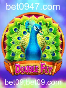 Explorando DoubleFly: Um Novo Horizonte em Entretenimento de Apostas