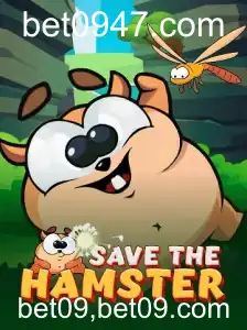 SavetheHamster: Um Jogo Envolvente com Estratégias Únicas